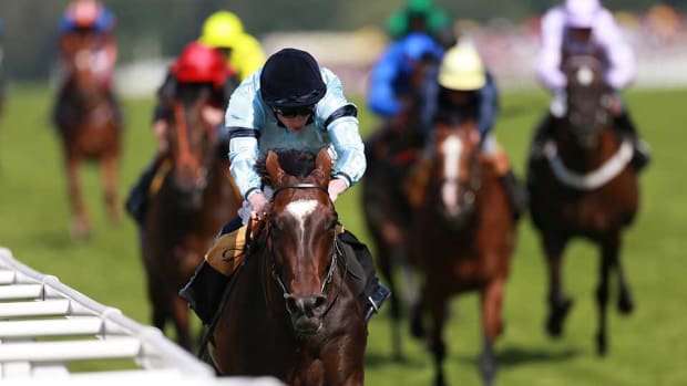 Telescope Breeders' Cup
